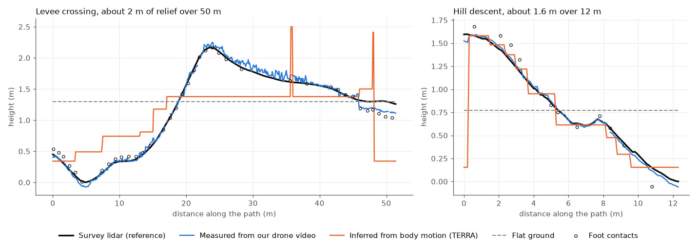 Two side profiles of ground height along the walked path. The black survey line and the blue measured line overlap closely over a 2 m levee and a 1.6 m descent. The orange motion-only line is a staircase of flat steps that misses the slope between them, with spikes on the levee. The grey flat line is horizontal.
