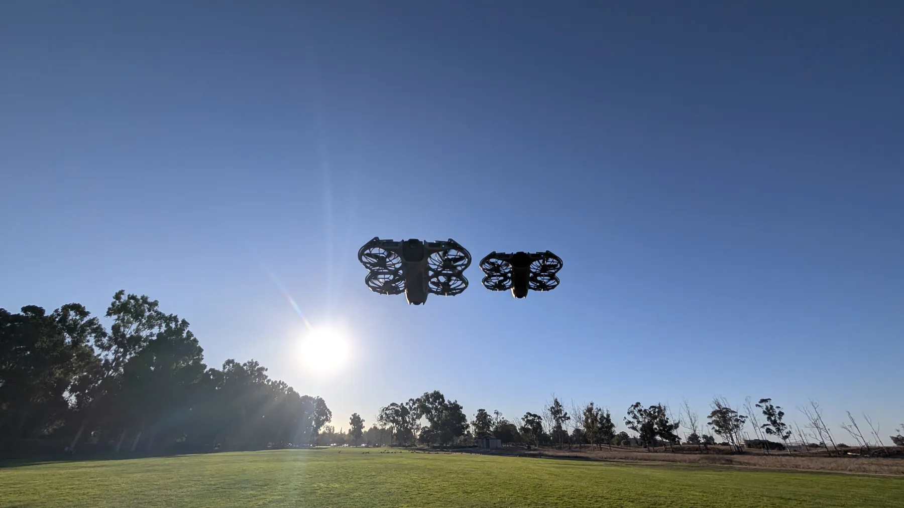 Two drones against the low afternoon sun